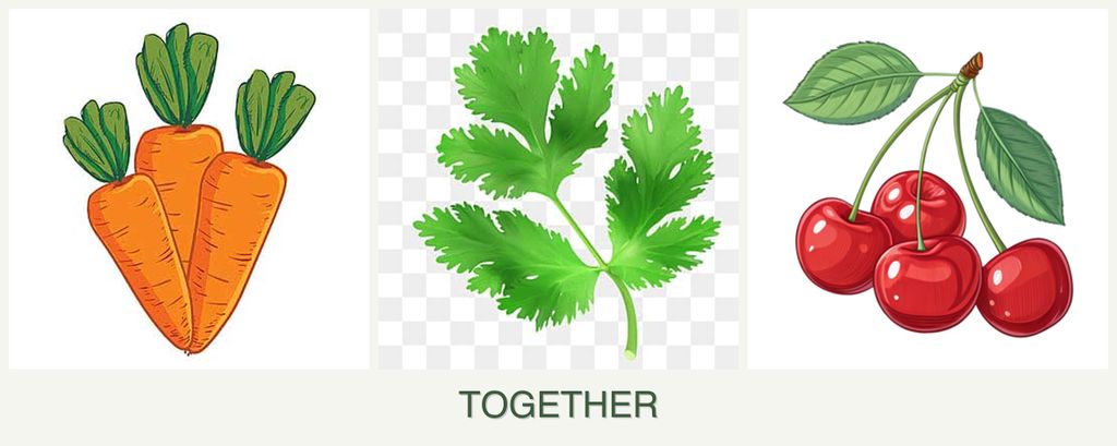 Can you plant carrots, parsley and cherries together?