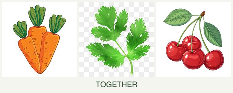 Can you plant carrots, parsley and cherries together?
