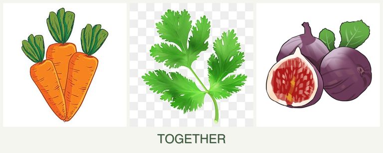 Can you plant carrots, parsley and figs together?
