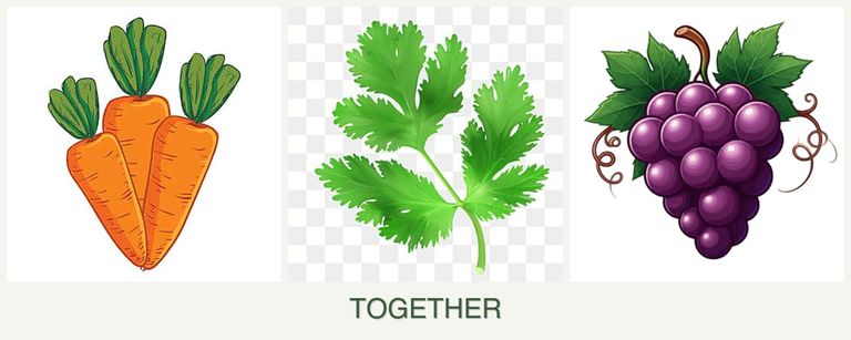 Can you plant carrots, parsley and grapes together?