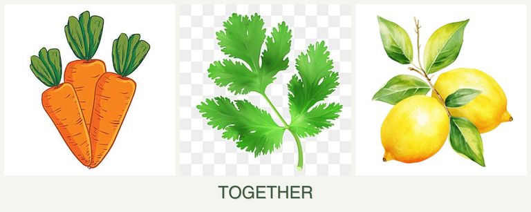 Can you plant carrots, parsley and lemons together?