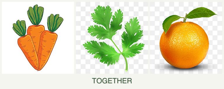 Can you plant carrots, parsley and oranges together?