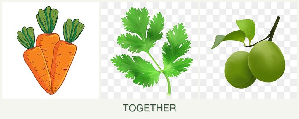 Can you plant carrots, parsley and plums together?