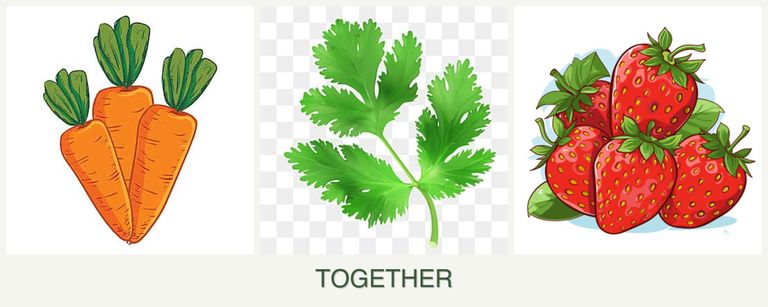 Can you plant carrots, parsley and strawberries together?