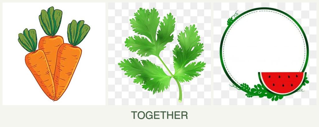 Can you plant carrots, parsley and watermelons together?