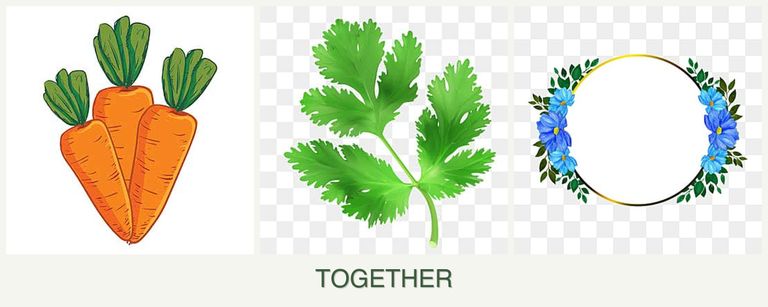Can you plant carrots, parsley and zinnias together?