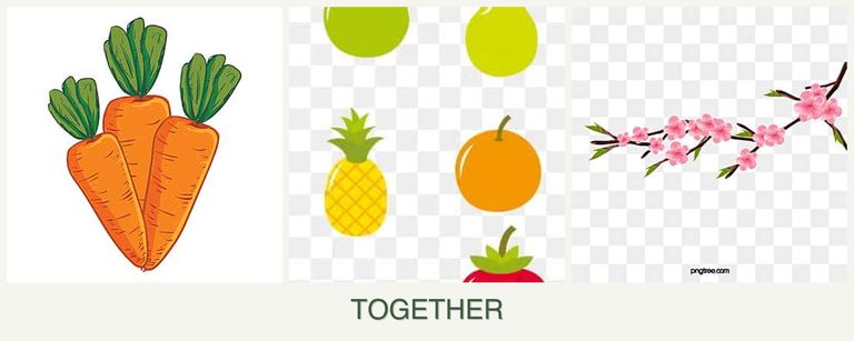 Can you plant carrots, pears and peaches together?