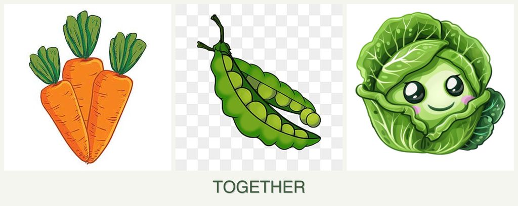 Can you plant carrots, peas and cabbage together?
