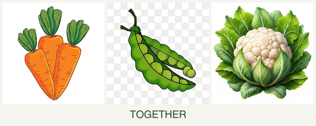 Can you plant carrots, peas and cauliflower together?