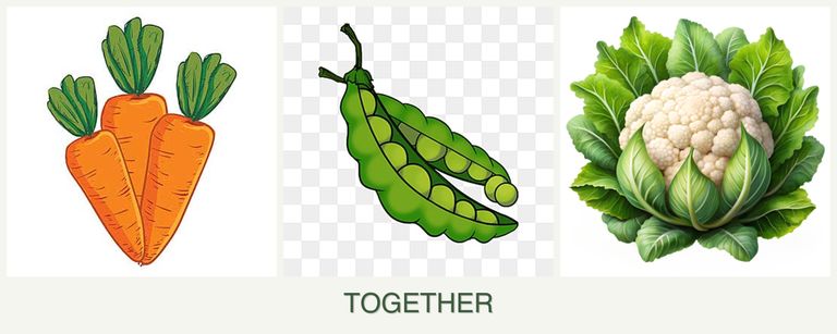 Can you plant carrots, peas and cauliflower together?
