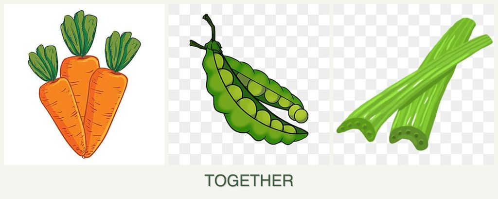 Can you plant carrots, peas and celery together?