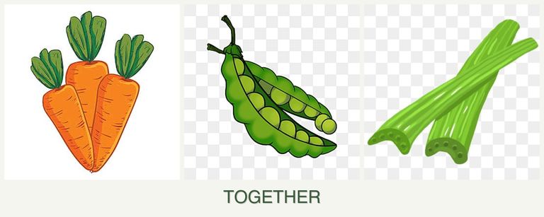 Can you plant carrots, peas and celery together?