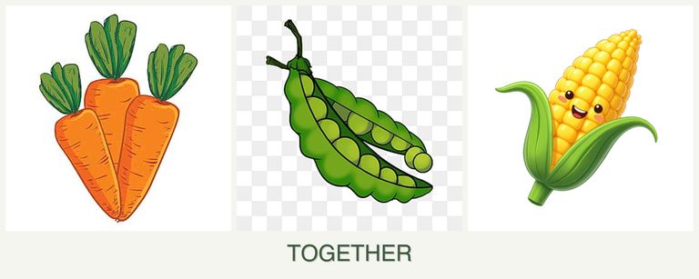 Can you plant carrots, peas and corn together?