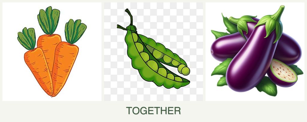 Can you plant carrots, peas and eggplant together?