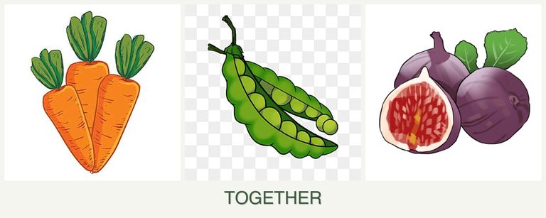 Can you plant carrots, peas and figs together?