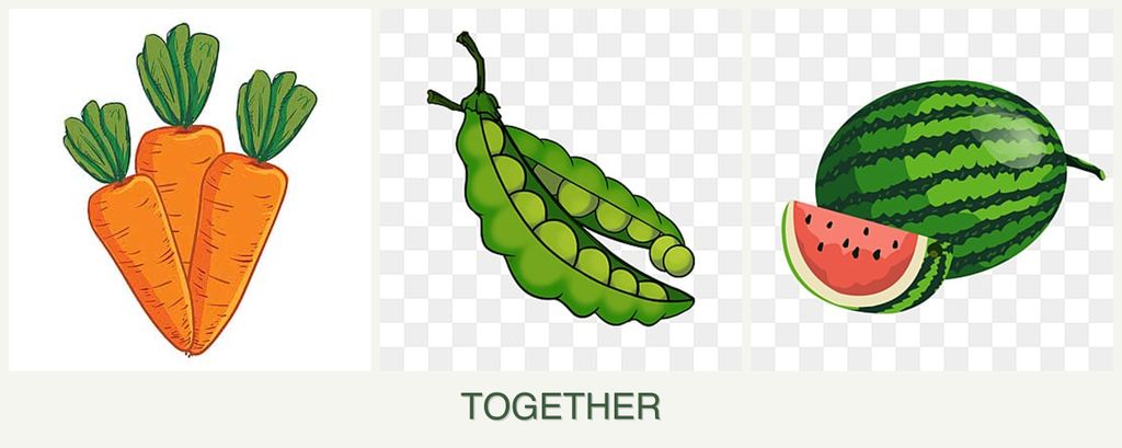 Can you plant carrots, peas and melons together?