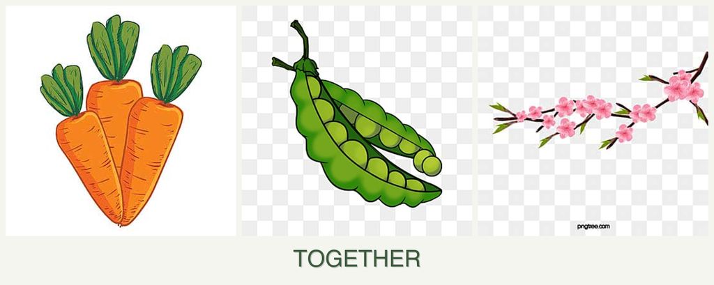 Can you plant carrots, peas and peaches together?