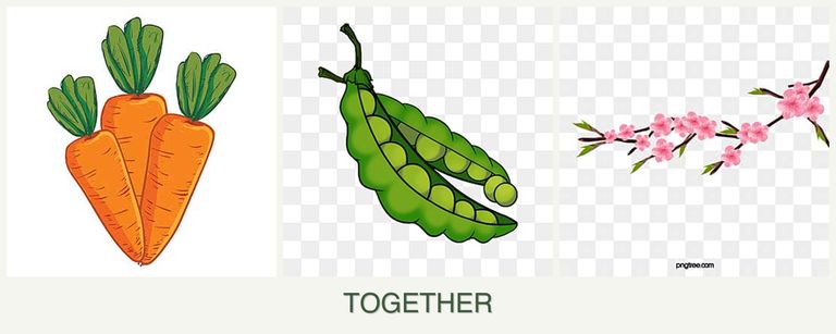 Can you plant carrots, peas and peaches together?