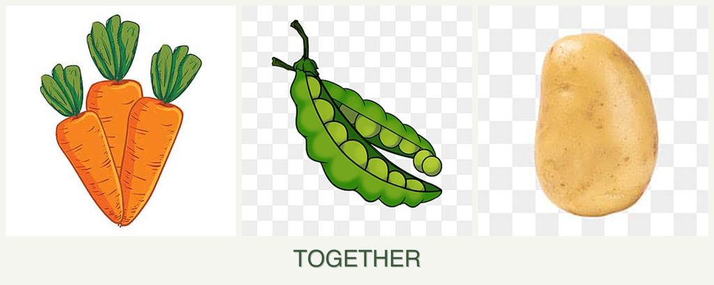 Can you plant carrots, peas and potatoes together?