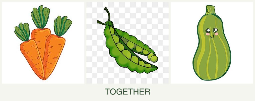 Can you plant carrots, peas and zucchini together?