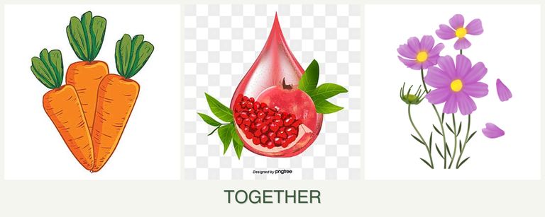 Can you plant carrots, pomegranates and cosmos together?