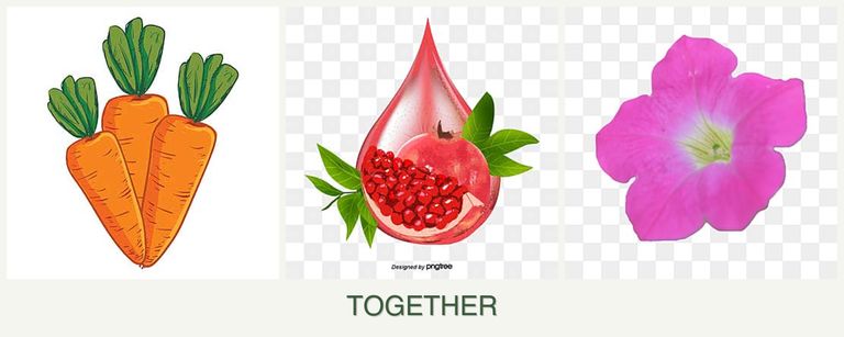 Can you plant carrots, pomegranates and petunias together?