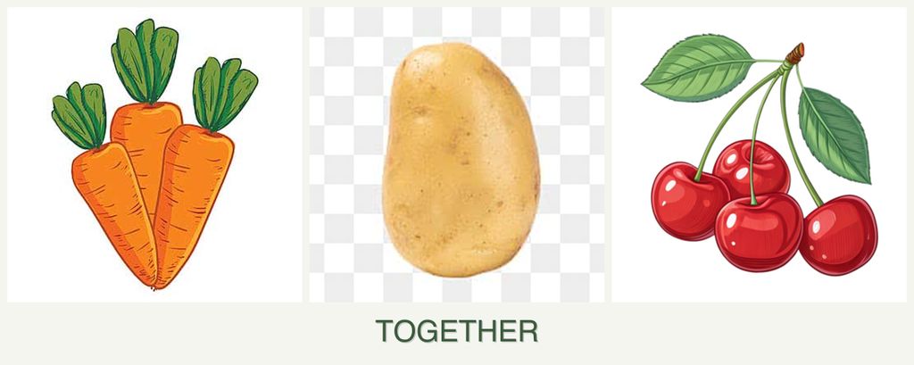 Can you plant carrots, potatoes and cherries together?