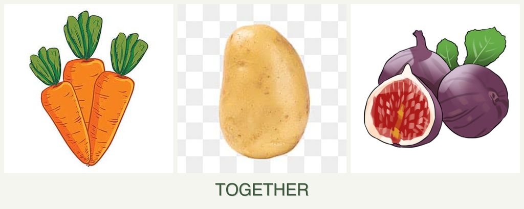 Can you plant carrots, potatoes and figs together?