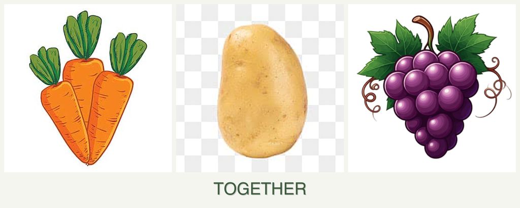 Can you plant carrots, potatoes and grapes together?