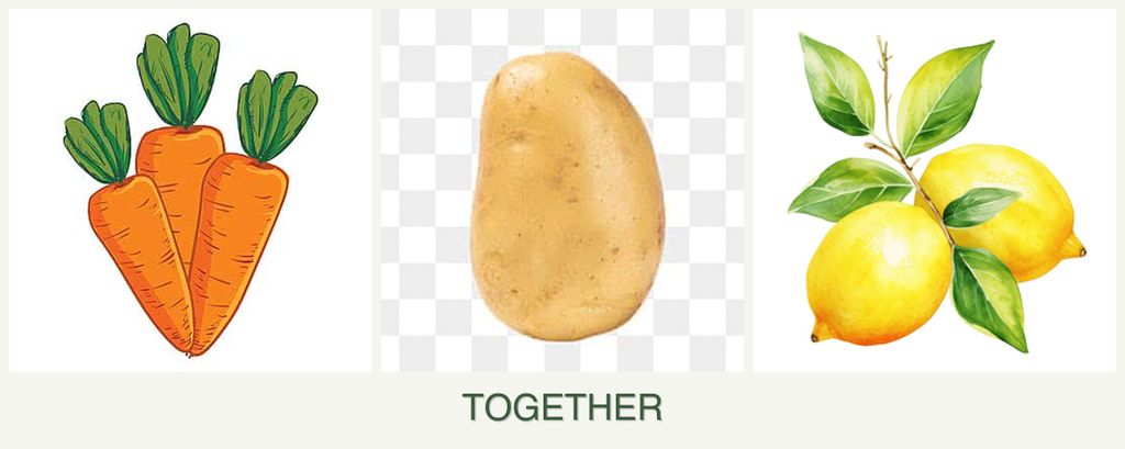 Can you plant carrots, potatoes and lemons together?