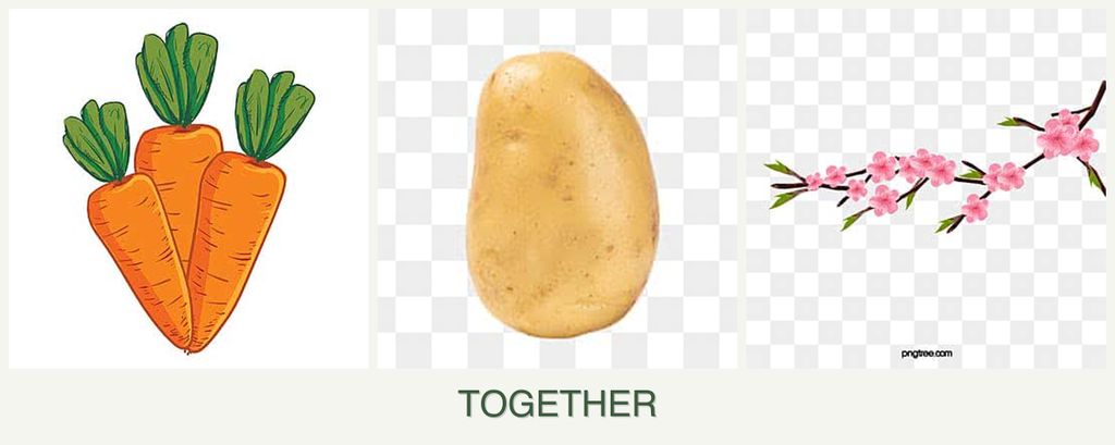 Can you plant carrots, potatoes and peaches together?