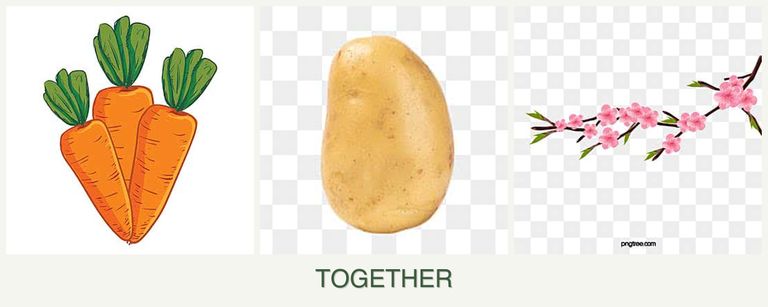 Can you plant carrots, potatoes and peaches together?