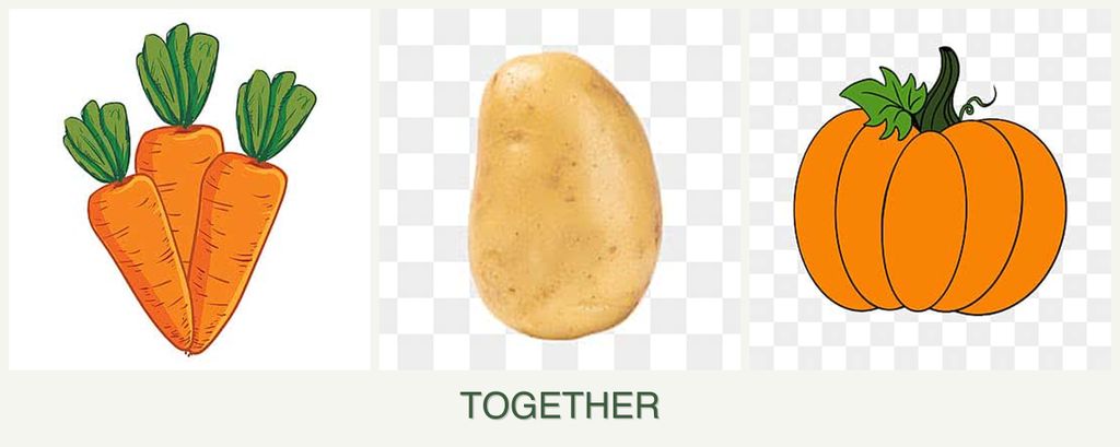 Can you plant carrots, potatoes and pumpkin together?
