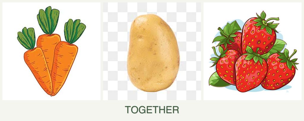 Can you plant carrots, potatoes and strawberries together?