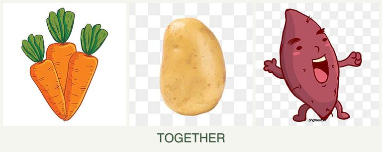 Can you plant carrots, potatoes and sweet potatoes together?