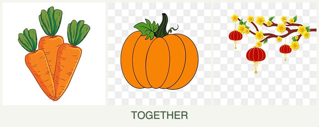 Can you plant carrots, pumpkin and apricots together?