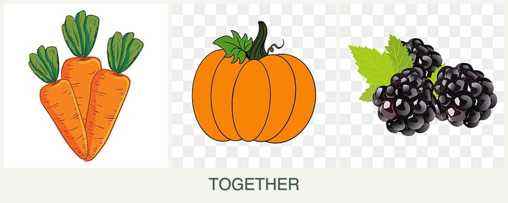 Can you plant carrots, pumpkin and blackberries together?