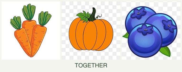 Can you plant carrots, pumpkin and blueberries together?