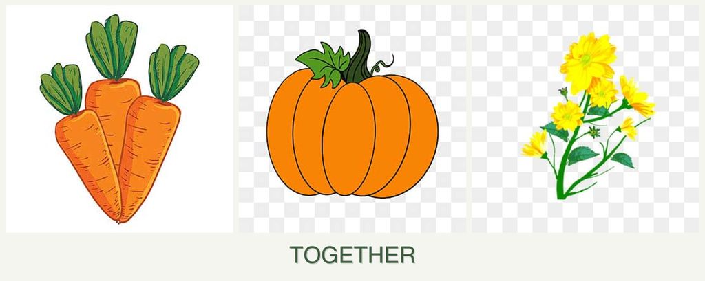 Can you plant carrots, pumpkin and calendula together?