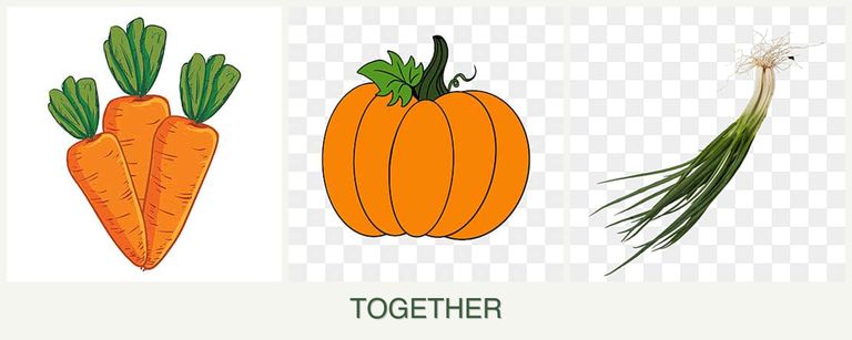 Can you plant carrots, pumpkin and chives together?