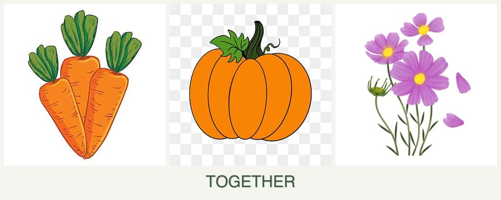 Can you plant carrots, pumpkin and cosmos together?