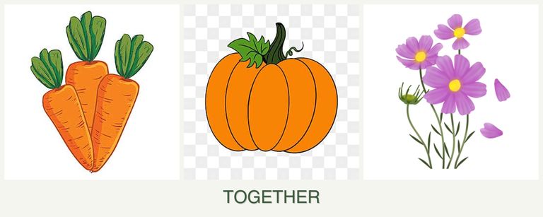 Can you plant carrots, pumpkin and cosmos together?