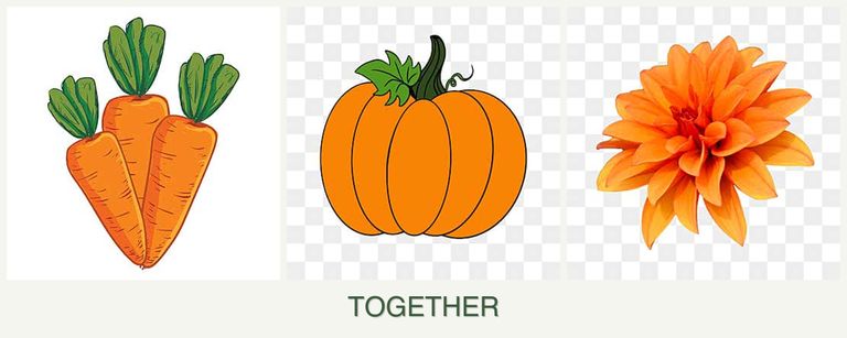 Can you plant carrots, pumpkin and dahlias together?