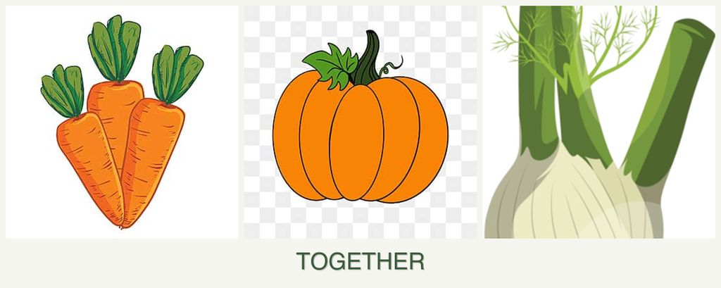 Can you plant carrots, pumpkin and fennel together?