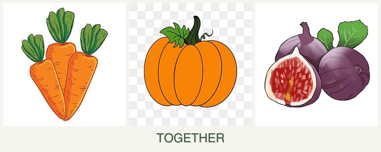 Can you plant carrots, pumpkin and figs together?