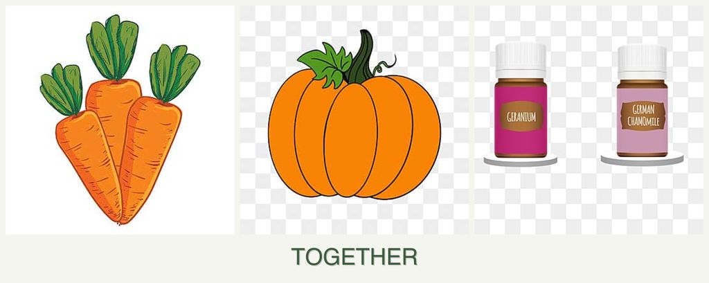 Can you plant carrots, pumpkin and geraniums together?