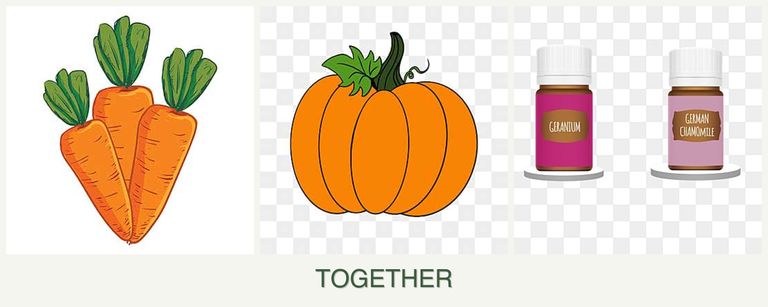 Can you plant carrots, pumpkin and geraniums together?