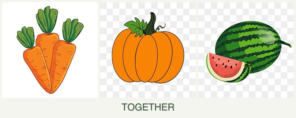 Can you plant carrots, pumpkin and melons together?