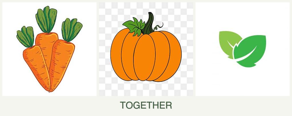 Can you plant carrots, pumpkin and mint together?