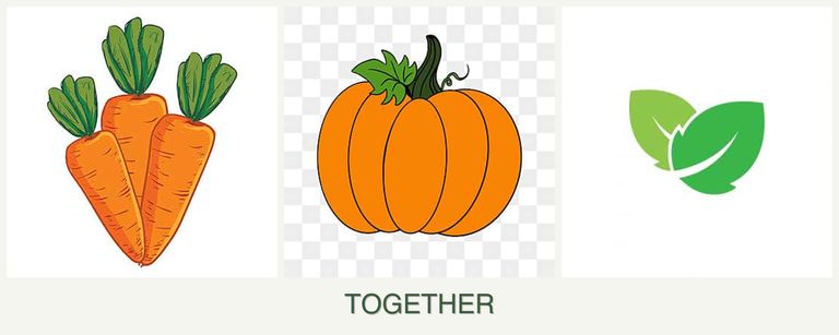 Can you plant carrots, pumpkin and mint together?